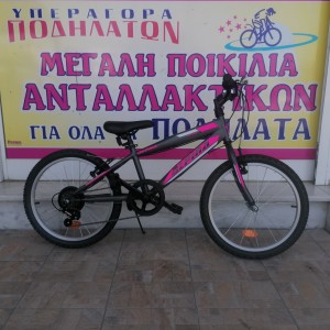 20" MTB Alpina Alpha 7v
