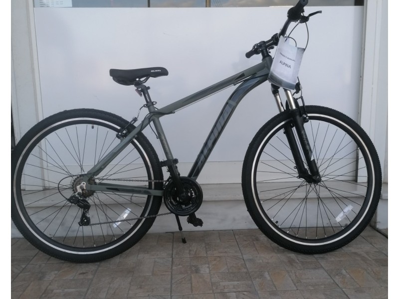 29" Alpina XCMR Alloy