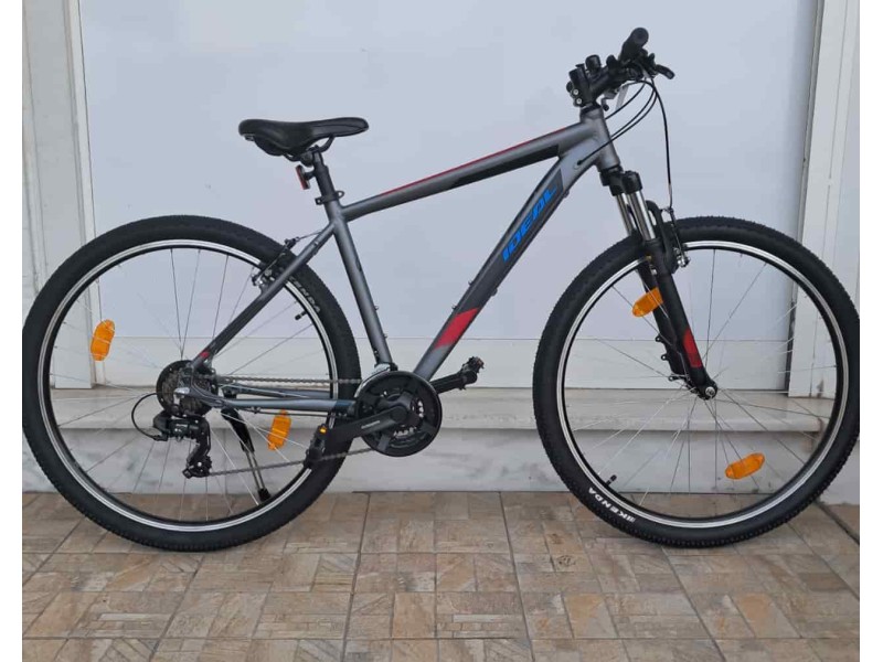 29" Ideal Trial alloy 29" Ideal Trial alloy